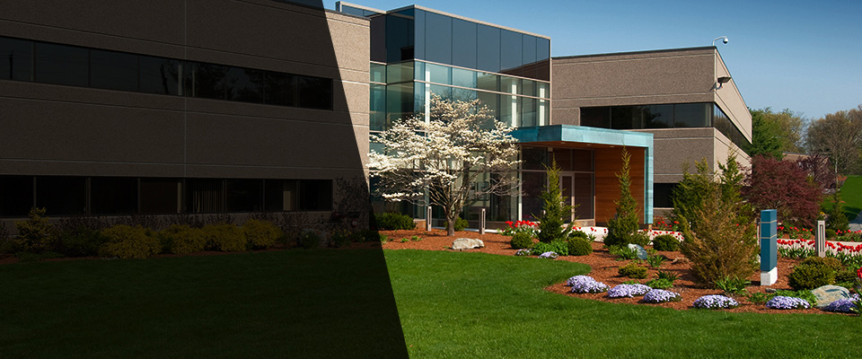 Ulster Park Landscapers