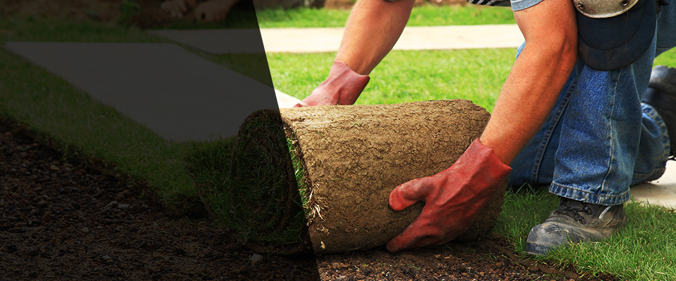 Ulster Park Landscapers